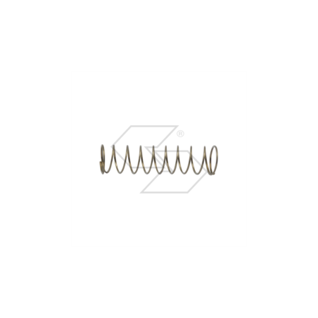WALBRO AUSGLEICHSFEDER 98-350-8 R122431 | Newgardenstore.eu