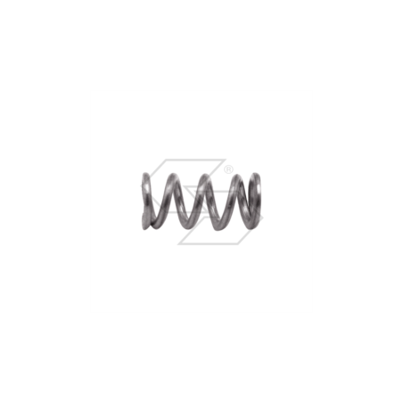Resorte de tornillo del carburador Walbro 98-368-7 R122465 | Newgardenstore.eu