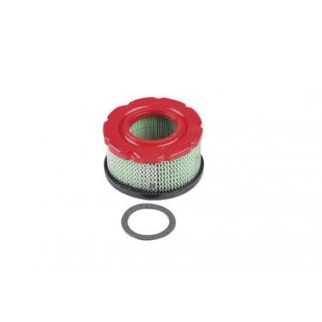 Filtre à air compatible avec le moteur BRIGGS&STRATTON 005425 797819 | Newgardenstore.eu