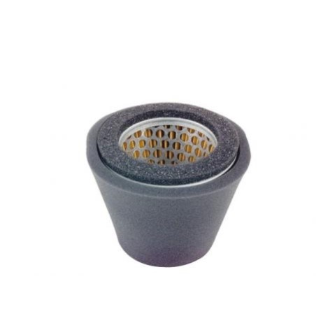 Filtre à air compatible avec le moteur de la tondeuse ROBIN EY17 107-32701-00 | Newgardenstore.eu