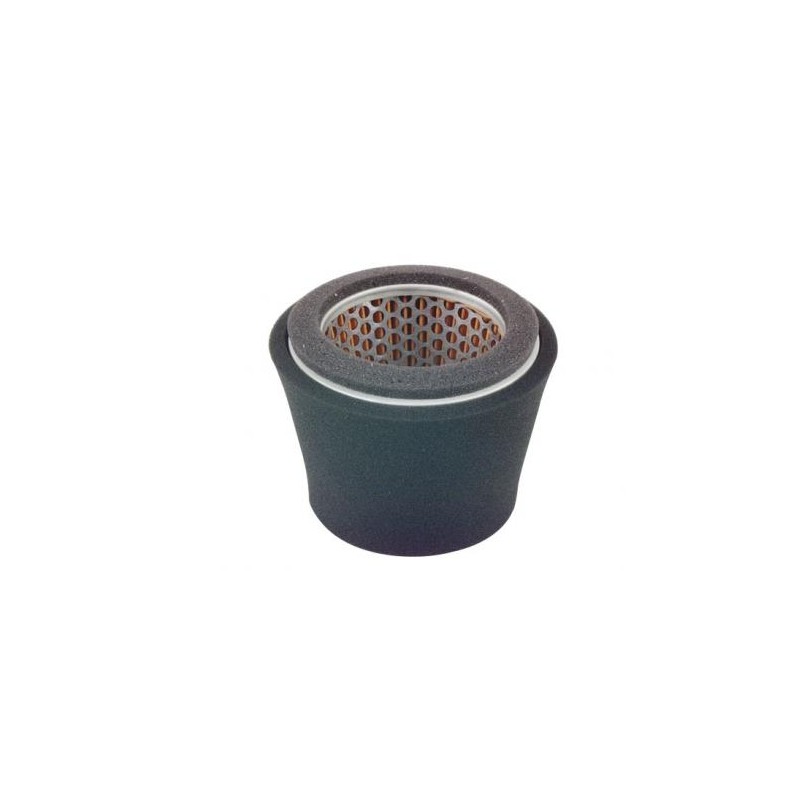 Luftfilter für Rasenmähermotor ROBIN EY44 209-32620-07