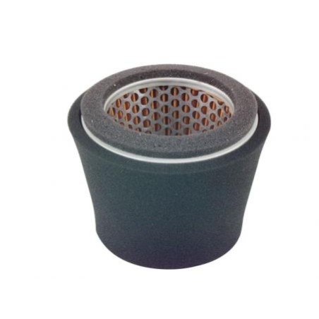 Filtre à air compatible avec le moteur de la tondeuse ROBIN EY44 209-32620-07 | Newgardenstore.eu