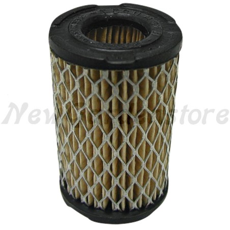 Luftfilter für Motor TECUMSEH Rasenmähermotor 21333 | Newgardenstore.eu