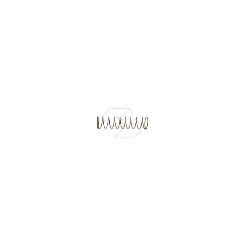 WALBRO ROCKER SPRING 98-304-7 R122430