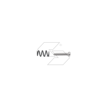 RESORTE DE TORNILLO DE RALENTÍ WALBRO 96-680 R122454 | Newgardenstore.eu