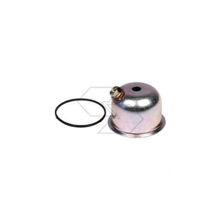 HONDA GX160-200 R125250 TANK | Newgardenstore.eu