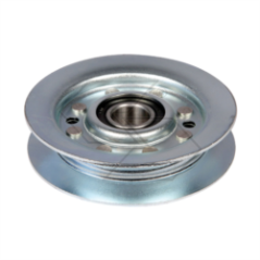 TENDENCY PULLEY A'V'CASTELG.25601555 R303813