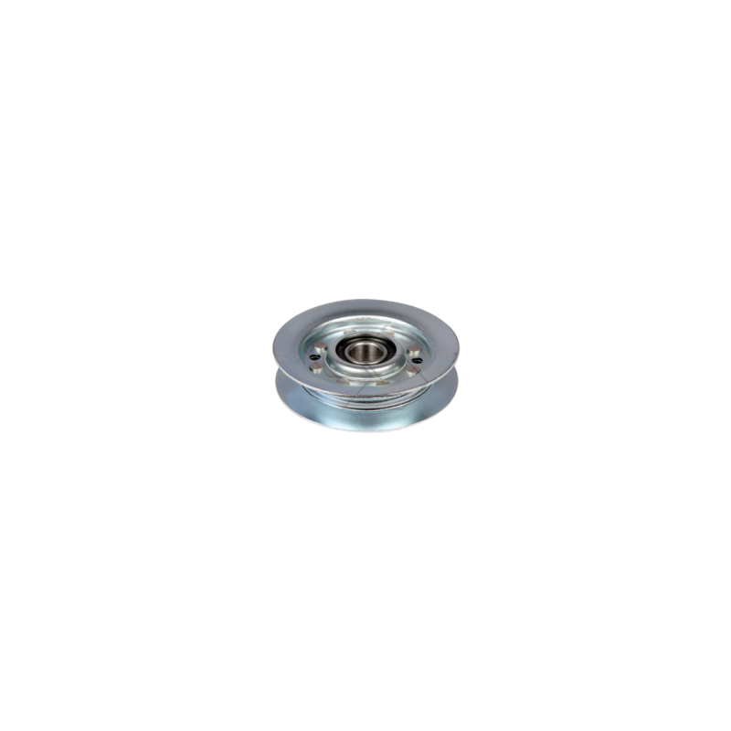 Spannrolle A'V'CASTELG.25601555 R303813