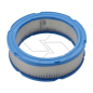 FILTRO ARIA 394018S ORIGINALE Briggs & Stratton