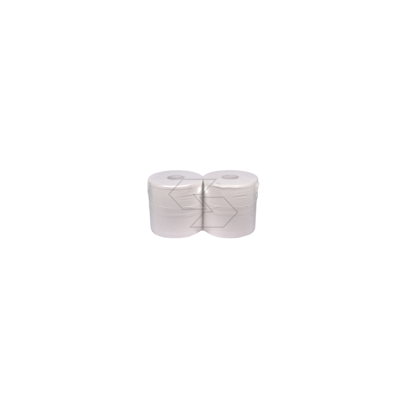 Double-layer paper set of 2 rolls - 760 sheets - 23x23 cm R330254