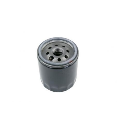 Motorölfilter Rasentraktor DIXON 5565 7252 | Newgardenstore.eu