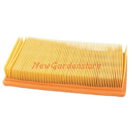 FILTRO AIRE FOCS LDW 502 602 903 LOMBARDINI 2175.105 2175.132 191009 | Newgardenstore.eu