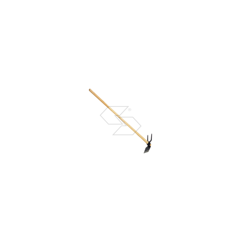 Zappa Campidano R340599