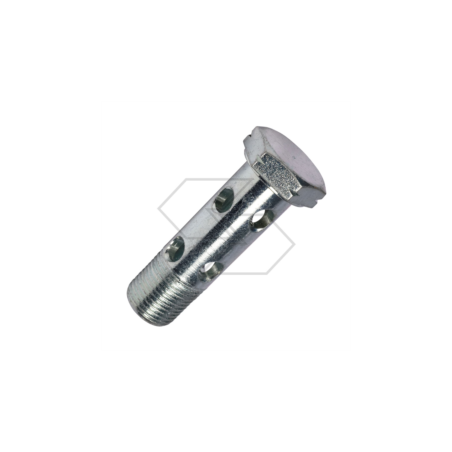 Drilled screw for eye fittings 8 holes - 1” A05423 | Newgardenstore.eu