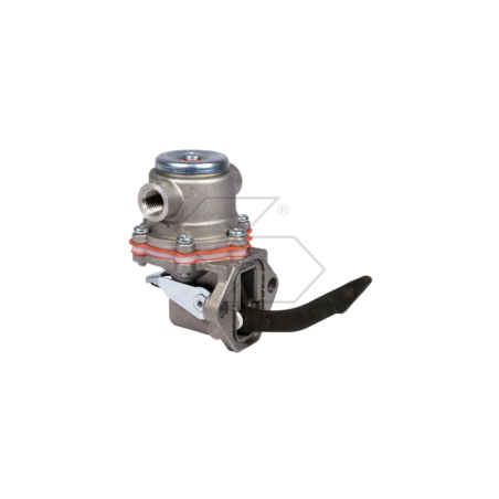BOMBA DE ALIMENTACIÓN DE NAFTA TR.SAME FRUTT.60 A00965 | Newgardenstore.eu