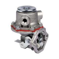 POMPE À CARBURANT POUR MOTEURS RUGGERINI A00915 | Newgardenstore.eu