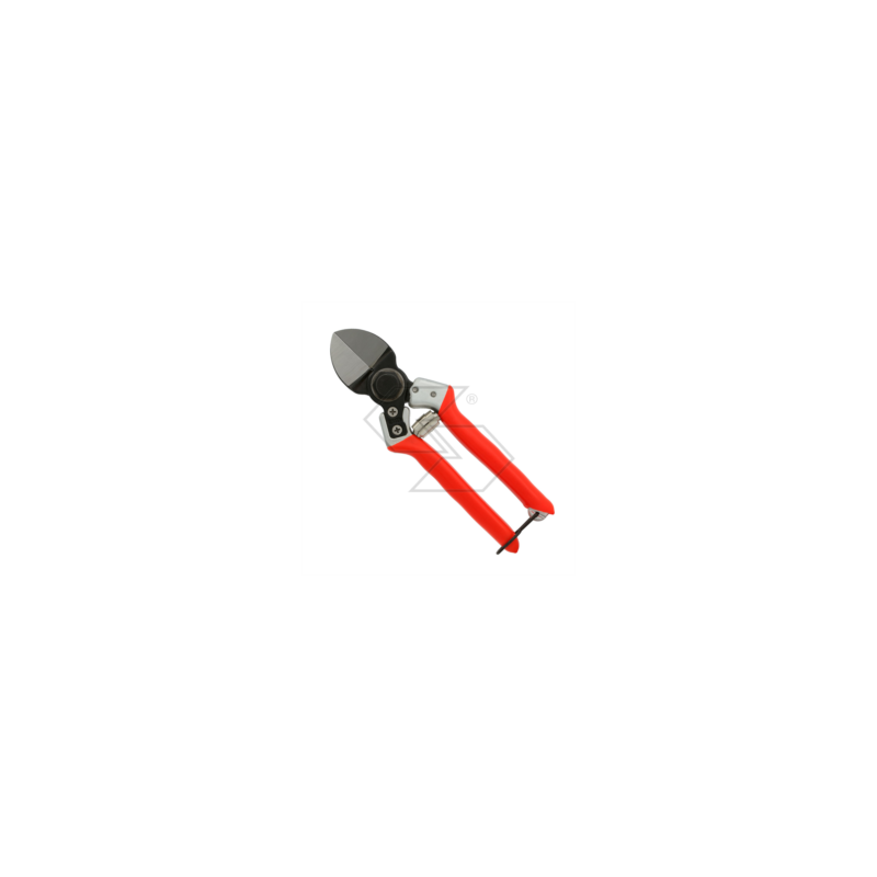 Professional double-edged pruning shears R340861 Professional double-edged pruning shears R340861