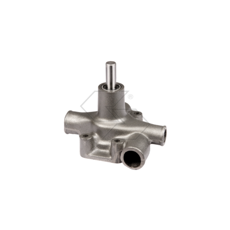 BOMBA DE AGUA LANDINI 3000-5000 A10985 | Newgardenstore.eu