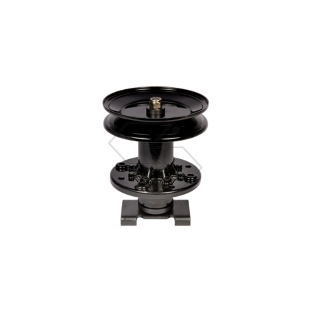 BUJE CON POLEA NOMA 307534 R301893 | Newgardenstore.eu