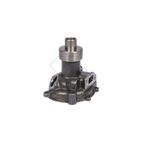 POMPE À EAU FIAT 1930925 A10972 | Newgardenstore.eu