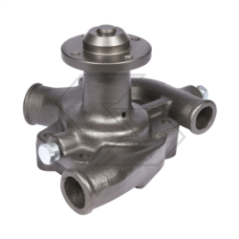 LANDINI WATER PUMP 60V-65V A10989