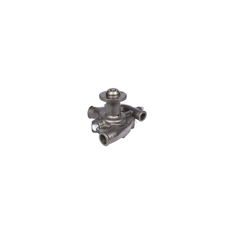 BOMBA DE AGUA LANDINI 60V-65V A10989