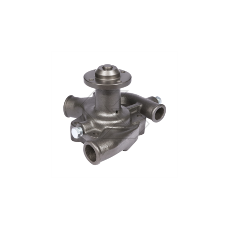 Pompe à eau LANDINI 60V-65V A10989 | Newgardenstore.eu