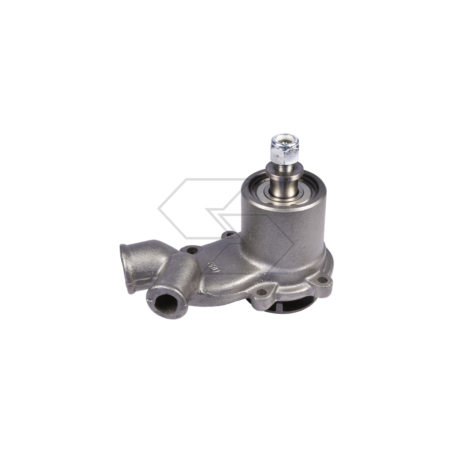 POMPE À EAU LANDINI 9060 A10987 | Newgardenstore.eu