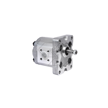 Groupe de pompe à engrenages 1 Rotation à gauche - 1VP 2.1 D A09807 | Newgardenstore.eu