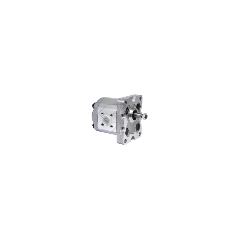 Gear pump group 1 Left rotation - 1VP 4.8 D A09817