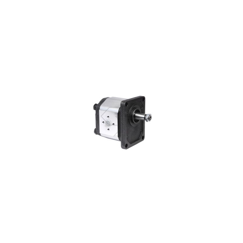 Gear pump group 2 right rotation - 2VP 12D - displacement 12 cm³ A09830 Gear pump group 2 right rotation - 2VP 12D - displacement 12 cm³ A09830