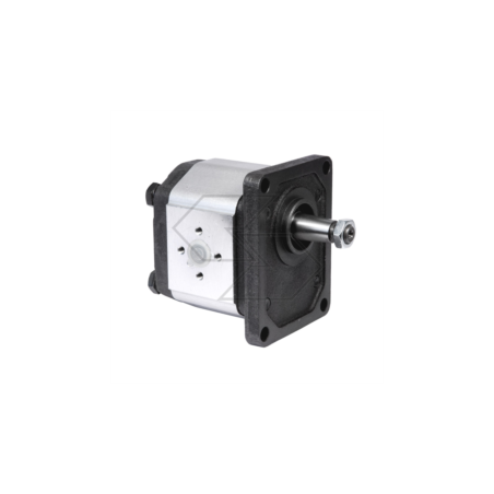 Gear pump group 2 right rotation - 2VP 25D - displacement 25 cm³ A09838 | Newgardenstore.eu