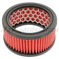 Filtro aire motor desbrozadora motosierra soplador compatible ECHO A226000070