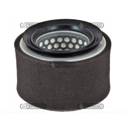 Filtro de aire motor máquina agrícola LOMBARDINI SERIE IM250 IM300 IM350 2175.239 | Newgardenstore.eu