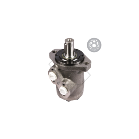 Motore tipo OMP 250 cc. A18867 | Newgardenstore.eu