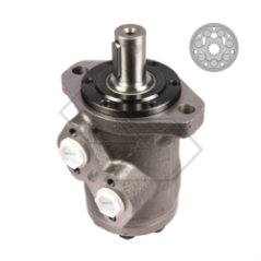 Moteur type OMR 250 cm³. A18879 | Newgardenstore.eu