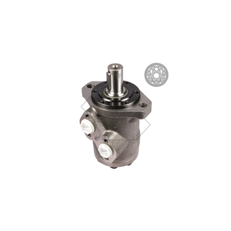 MOTORE ORBITALE OMR 40 A18872 | Newgardenstore.eu