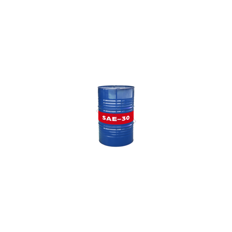Olio motore Strong per rasaerba SAE-30 - 190 litri R331189