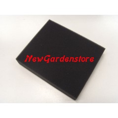 Filtre à air pour moteur de tondeuse SV150M 4T valves latérales GGP | Newgardenstore.eu