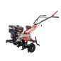Motocultor rotativo MECCANICA BENASSI RL428 con motor de gasolina Loncin G270F y 4 velocidades.