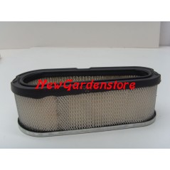 Filtro aria motore trattorino rasaerba 8-11 HP BRIGGS & STRATTON 691667 192015