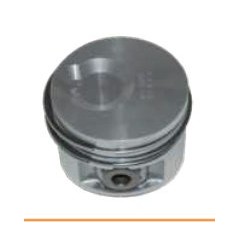 COMPLETE PISTONS 130254P LDW 502 Citycar | Newgardenstore.eu
