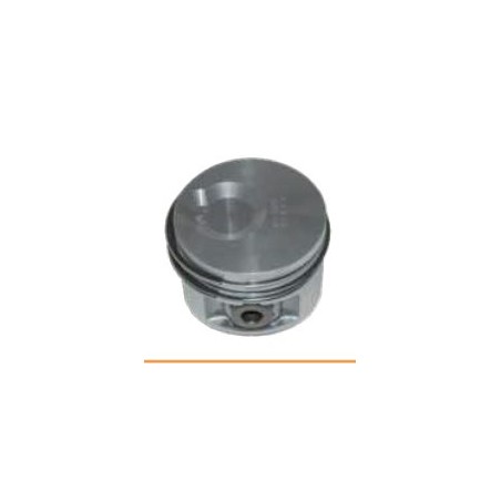 KOMPLETTE KOLBEN 130254P LDW 502 Citycar | Newgardenstore.eu