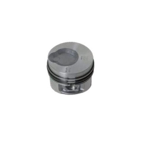 COMPLETE PISTONS 130255P LDW 602 LDW 903 | Newgardenstore.eu