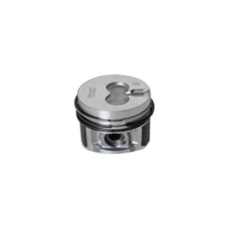 COMPLETE PISTONS 130259P LDW 702 LDW 702/P LDW 1003 | Newgardenstore.eu