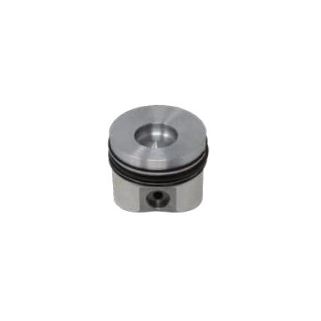 COMPLETE PISTONS 130143P 6LD 360 | Newgardenstore.eu