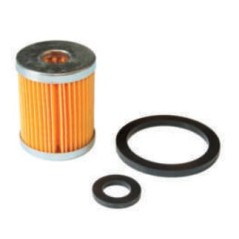 FILTROS DE DIÉSEL 6F.15.2175.32 6LD | Newgardenstore.eu