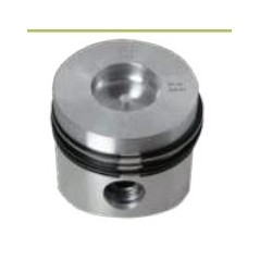 COMPLETE PISTONS 130302P RD 220 - 901 | Newgardenstore.eu