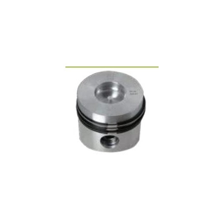 COMPLETE PISTONS 130302P RD 220 - 901 | Newgardenstore.eu