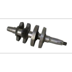 RF 140 130307A 2116 € 195,00 1 130137A RD 220 - 240 - 270 - 278 | Newgardenstore.eu
